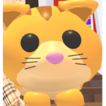 Ginger Cats Official Group