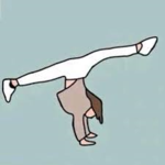 Dive In Gymnastics!