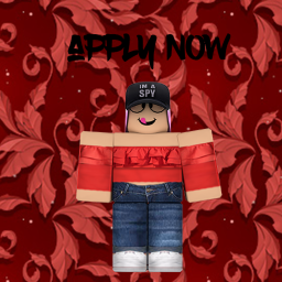 Designer Application