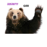 PAPABEARS
