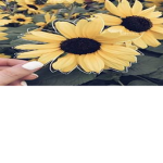 aesthetic flowers home store