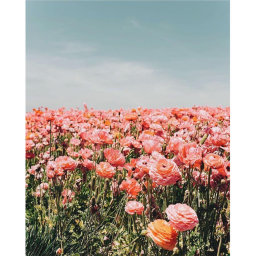 ♡︎