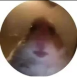 The whatevers i guess