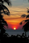 Sunset fighters