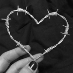 •Dandelion wire•