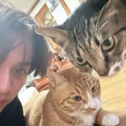 ⋆˚࿔🐈