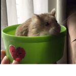 Toby and Tiny