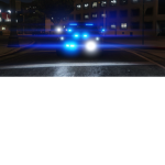 Crime Reduction Unit ( C-R-U )