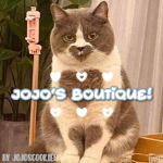 Jojo’s Boutique!