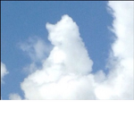 ~.Cloud~Clan.~