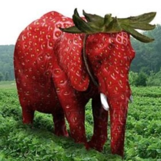 Jump Into Strawberry Elephant