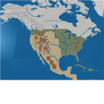 North American Domination