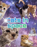 Catsinspace
