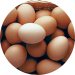 The Hatch Egg