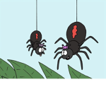 Arachnid Situation