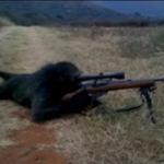sniper monky army