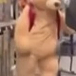 Survive La Goof Bear icon