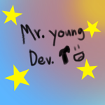 The Mr Young Developer group