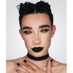 James Charles the Killer!