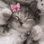 Fairy:)