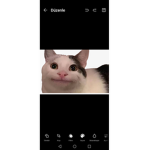 Noice friends group