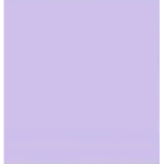 -venus boutique-