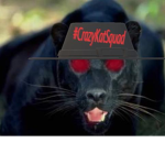 i love panthers