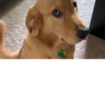 tomando awita uwu