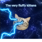 The very fluffy kittens