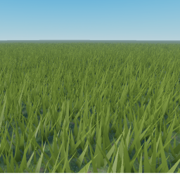 Flat Terrain