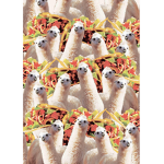 Taco Belles