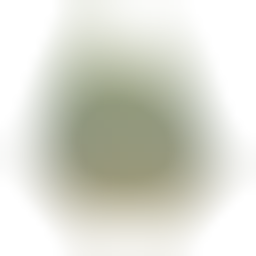 Test Server