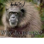 nani? what is this????? O_O