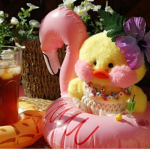 Cool Duck Talk