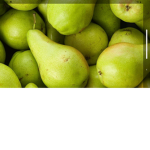 Pear studio's