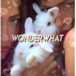 WonderWhat