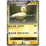 Le Duck store <3