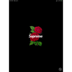 Supreme/Gucci GROUP
