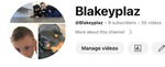Blakeyplaz fan group