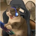 epik gamer group of epik gamers