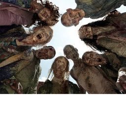 The Walking Dead Roleplay (The Grenades Camp)