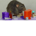 rat office