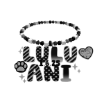 lulu & ani 3.0