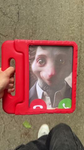 POG Creations