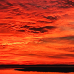 Sunset Apparel Clothing