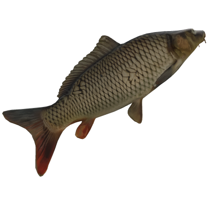 BIG FISH  Roblox item