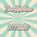 The Malibu ୨୧