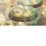 the duck group pls join