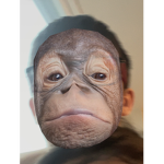 Monky.EXE