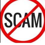 The Scammer Girls